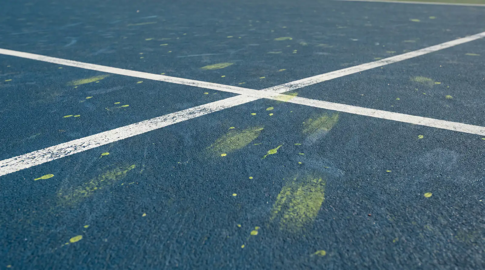 DecoTurf surface at Flushing Meadows with medium-fast speed characteristics